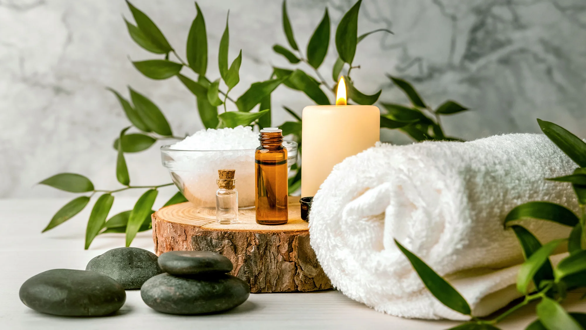 Software para spas y centros de estética en Latinoamérica: guía 2026